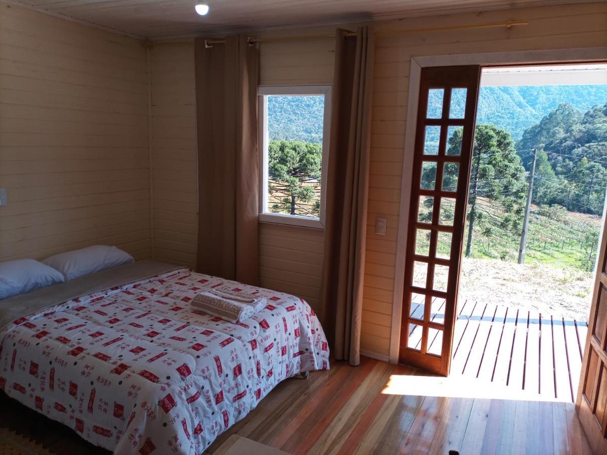 Uva Niágara Сasa de vacaciones *